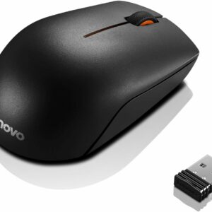 L300