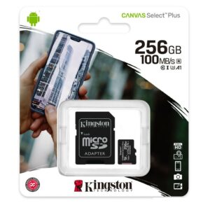 SDCS-256GB-Kingston-256GB